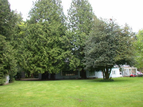 Lower level fireplace